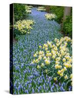 Netherlands, Lisse. Flower displays at Keukenhof Gardens.-Julie Eggers-Stretched Canvas