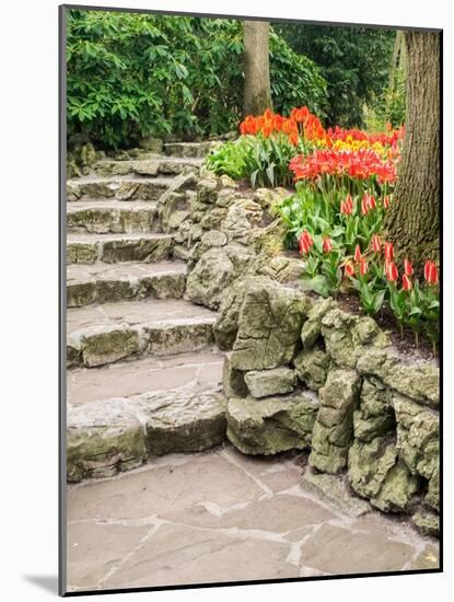 Netherlands, Lisse. Flower displays at Keukenhof Gardens.-Julie Eggers-Mounted Photographic Print