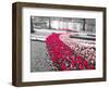 Netherlands, Lisse. Multicolored flowers blooming in spring.-Terry Eggers-Framed Photographic Print