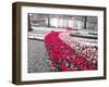 Netherlands, Lisse. Multicolored flowers blooming in spring.-Terry Eggers-Framed Photographic Print