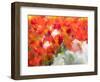 Netherlands, Lisse. Multicolored flowers blooming in spring.-Terry Eggers-Framed Photographic Print