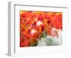 Netherlands, Lisse. Multicolored flowers blooming in spring.-Terry Eggers-Framed Photographic Print