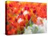 Netherlands, Lisse. Multicolored flowers blooming in spring.-Terry Eggers-Stretched Canvas