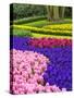 Netherlands, Lisse. Multicolored flowers blooming in spring.-Terry Eggers-Stretched Canvas