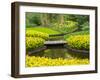 Netherlands, Lisse. Multicolored flowers in spring-Terry Eggers-Framed Photographic Print