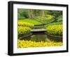 Netherlands, Lisse. Multicolored flowers in spring-Terry Eggers-Framed Photographic Print