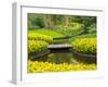 Netherlands, Lisse. Multicolored flowers in spring-Terry Eggers-Framed Photographic Print