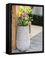 Netherlands, Lisse. Tall flower pot with yellow tulips and narcissus.-Julie Eggers-Framed Stretched Canvas