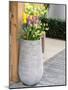 Netherlands, Lisse. Tall flower pot with yellow tulips and narcissus.-Julie Eggers-Mounted Photographic Print