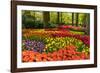Netherlands, Lisse. Tulips in Keukenhof Gardens.-Jaynes Gallery-Framed Photographic Print