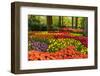 Netherlands, Lisse. Tulips in Keukenhof Gardens.-Jaynes Gallery-Framed Photographic Print