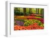 Netherlands, Lisse. Tulips in Keukenhof Gardens.-Jaynes Gallery-Framed Photographic Print