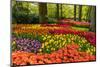 Netherlands, Lisse. Tulips in Keukenhof Gardens.-Jaynes Gallery-Mounted Photographic Print
