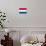 Netherlands National Flag Poster Print-null-Poster displayed on a wall