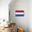 Netherlands National Flag Poster Print-null-Mounted Poster displayed on a wall