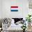 Netherlands National Flag-null-Art Print displayed on a wall