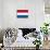 Netherlands National Flag-null-Mounted Art Print displayed on a wall