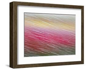 Netherlands, Nord Holland, Tulips and Rain Drops in Patterns-Terry Eggers-Framed Photographic Print