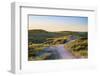 Netherlands, North Holland, Julianadorp. Walking path through the dunes at sunset.-Jason Langley-Framed Photographic Print