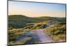 Netherlands, North Holland, Julianadorp. Walking path through the dunes at sunset.-Jason Langley-Mounted Photographic Print