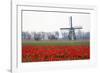 Netherlands, Old wooden windmill in a field of red tulips-Hollice Looney-Framed Photographic Print