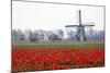 Netherlands, Old wooden windmill in a field of red tulips-Hollice Looney-Mounted Photographic Print