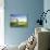 Netherlands, Polder Landscape, Alkmaar, Canal, Windmill-Thonig-Stretched Canvas displayed on a wall