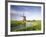 Netherlands, Polder Landscape, Alkmaar, Canal, Windmill-Thonig-Framed Photographic Print