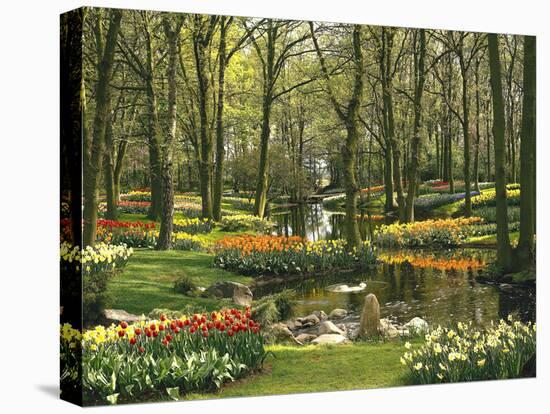 Netherlands, South Holland, Keukenhof, Flower Park, Spring-Thonig-Stretched Canvas