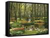 Netherlands, South Holland, Keukenhof, Flower Park, Spring-Thonig-Framed Stretched Canvas