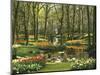 Netherlands, South Holland, Keukenhof, Flower Park, Spring-Thonig-Mounted Photographic Print