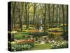 Netherlands, South Holland, Keukenhof, Flower Park, Spring-Thonig-Stretched Canvas