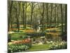 Netherlands, South Holland, Keukenhof, Flower Park, Spring-Thonig-Mounted Photographic Print