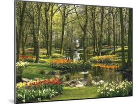 Netherlands, South Holland, Keukenhof, Flower Park, Spring-Thonig-Mounted Photographic Print