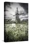 Netherlands, South Holland, Kinderdijk (Unesco World Heritage Site)-Alan Copson-Stretched Canvas