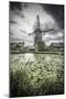Netherlands, South Holland, Kinderdijk (Unesco World Heritage Site)-Alan Copson-Mounted Photographic Print
