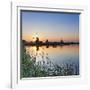 Netherlands, South Holland, Kinderdijk. Windmills-Francesco Iacobelli-Framed Photographic Print