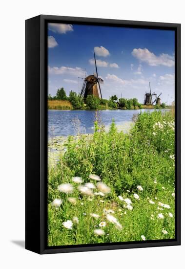 Netherlands, South Holland, Kinderdijk. Windmills-Francesco Iacobelli-Framed Stretched Canvas