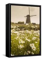 Netherlands, South Holland, Kinderdijk. Windmills-Francesco Iacobelli-Framed Stretched Canvas