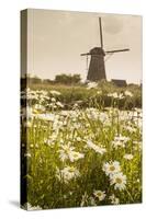 Netherlands, South Holland, Kinderdijk. Windmills-Francesco Iacobelli-Stretched Canvas