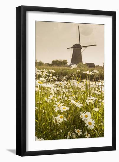 Netherlands, South Holland, Kinderdijk. Windmills-Francesco Iacobelli-Framed Photographic Print