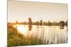 Netherlands, South Holland, Kinderdijk. Windmills-Francesco Iacobelli-Mounted Photographic Print