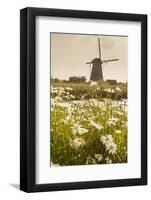 Netherlands, South Holland, Kinderdijk. Windmills-Francesco Iacobelli-Framed Photographic Print