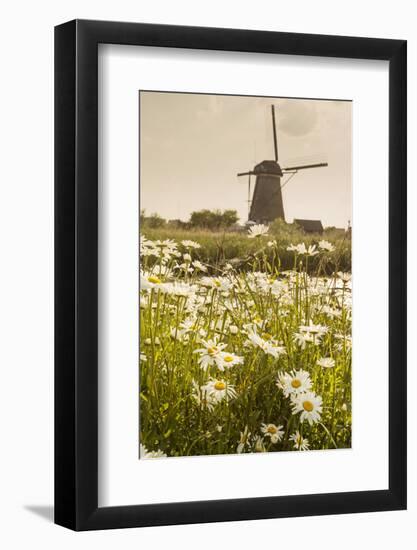 Netherlands, South Holland, Kinderdijk. Windmills-Francesco Iacobelli-Framed Photographic Print