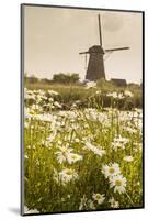 Netherlands, South Holland, Kinderdijk. Windmills-Francesco Iacobelli-Mounted Photographic Print