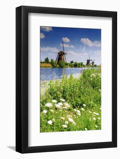 Netherlands, South Holland, Kinderdijk. Windmills-Francesco Iacobelli-Framed Photographic Print