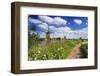 Netherlands, South Holland, Kinderdijk. Windmills-Francesco Iacobelli-Framed Photographic Print