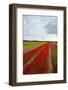 Netherlands-gkuna-Framed Photographic Print