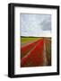 Netherlands-gkuna-Framed Photographic Print