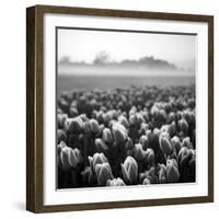 Netherlands-Maciej Duczynski-Framed Photographic Print